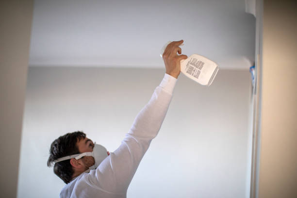 Best Home Mold Removal  in Nashotah, WI