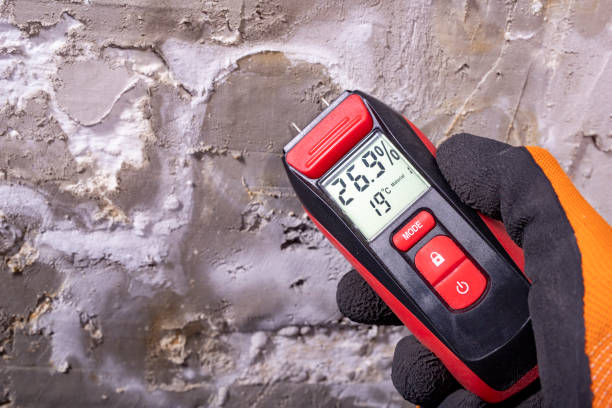Best Residential Mold Removal  in Nashotah, WI