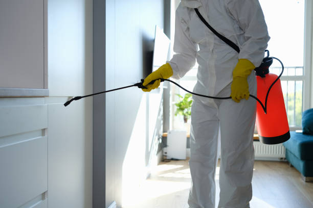 Best Mold Cleaning Services  in Nashotah, WI